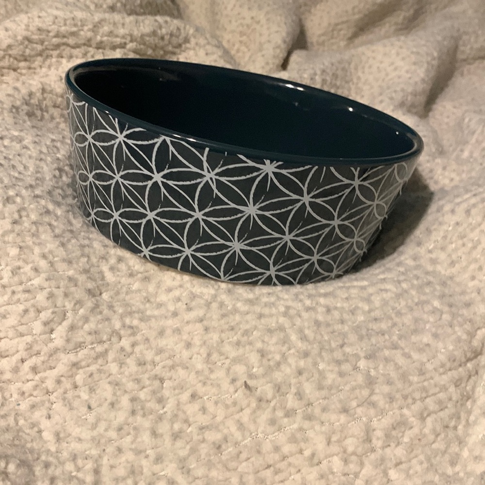 Pet water bowl
